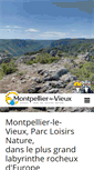 Mobile Screenshot of montpellierlevieux.com